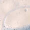 Abstract image of bubbles and liquid, featuring a curved line and a textured surface with varying shades of light.